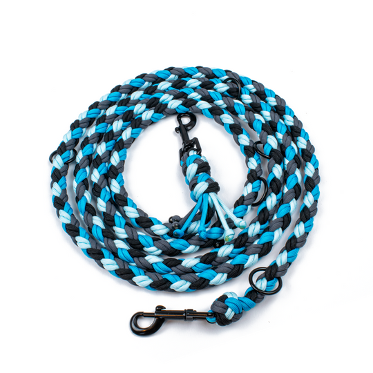 Hundeleine Tierluxe Foxy Handgemacht Paracord