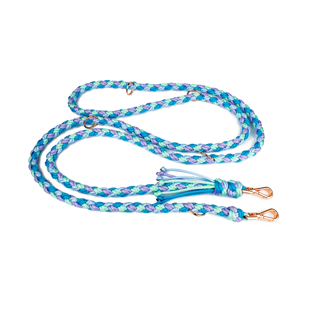 Hundeleine Tierluxe Foxy Handgemacht Paracord