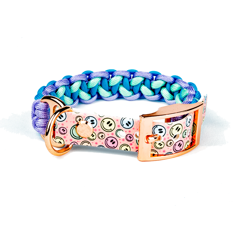 Hundehalsband Tierluxe Snowy Blau Handgemacht Paracord Biothane