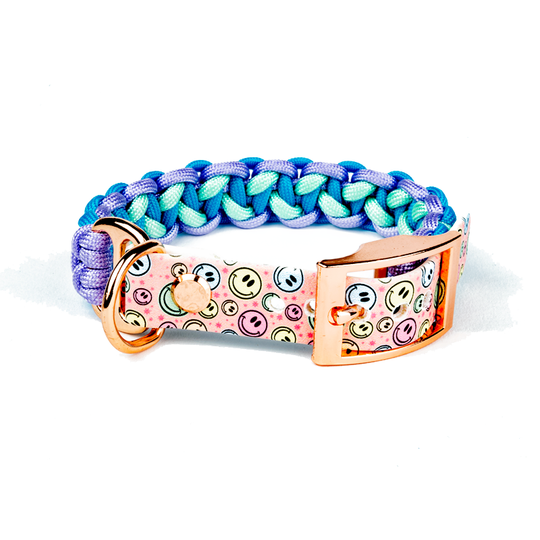 Hundehalsband Tierluxe Snowy Blau Handgemacht Paracord Biothane