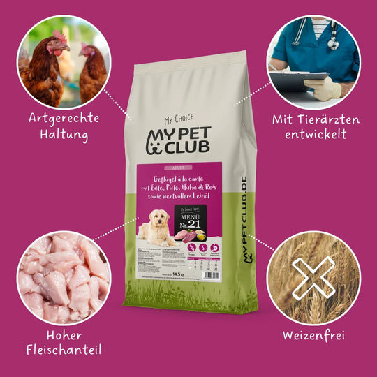MyPetClub Balance - optimiert