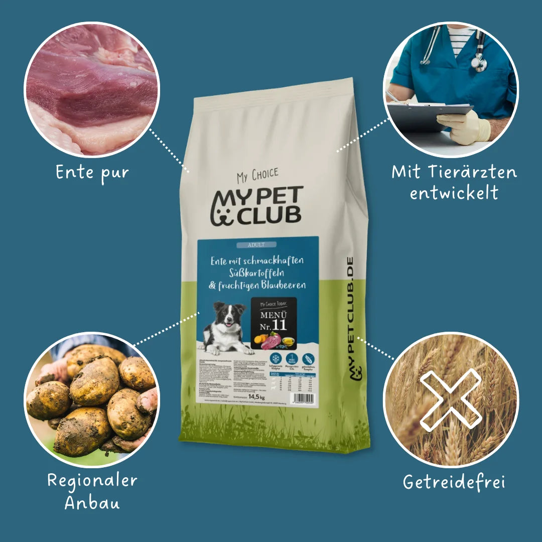 MyPetClub Ente - optimiert