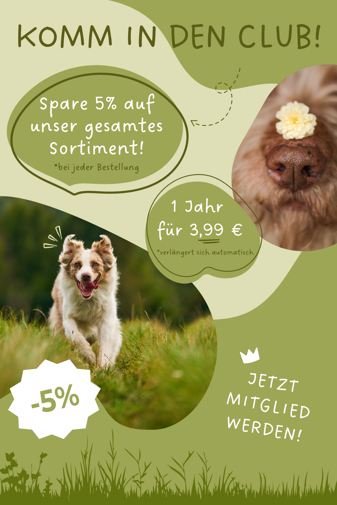 Mitgliedschaft 12 Monate