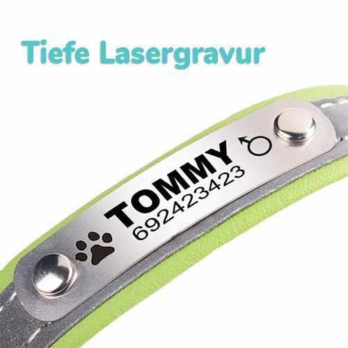 Hundehalsband mit Namen und Telefon graviert. Reflektierend
