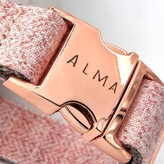 Süßes Hundehalsband mit Namen, graviert auf Schnalle