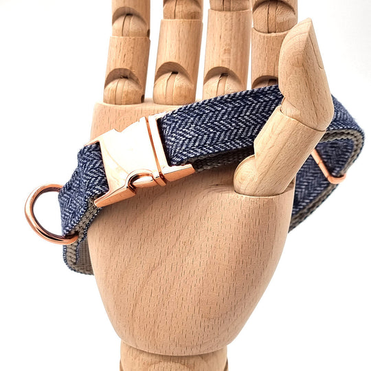 Süßes Hundehalsband mit Namen, graviert auf Schnalle