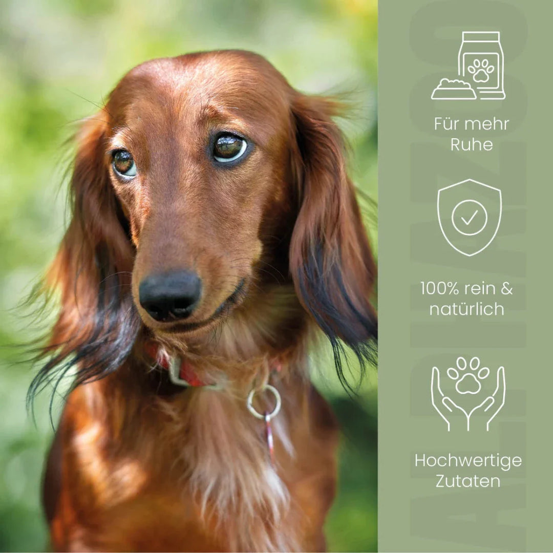 Alpha-Zegg Futteröl für Hunde