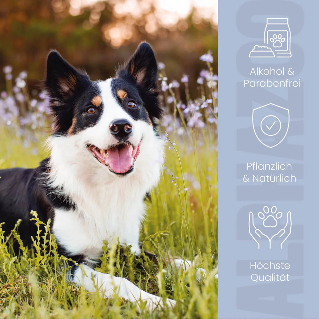 Brandlöscher Anti Juckreiz Spray für Hunde