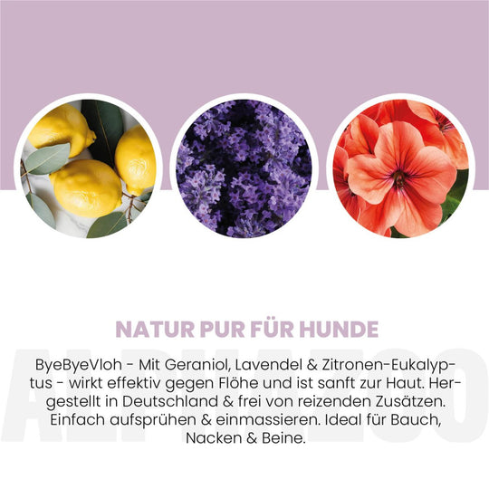 ByeByeVloh Flohspray für Hunde