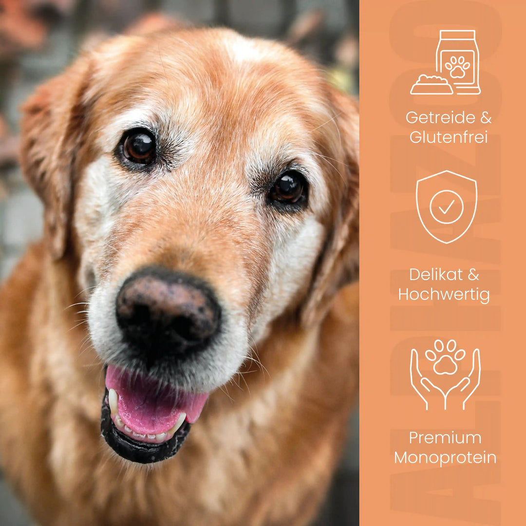 Kaninchen + Kalb Nassfutter für Senior Hunde 400g/Dose