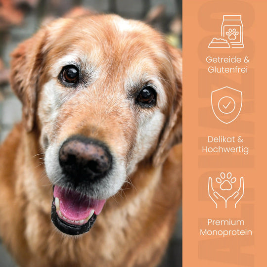 Kaninchen + Kalb Nassfutter für Senior Hunde 400g/Dose