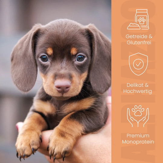 Ente + Huhn Nassfutter für Welpen 400g/Dose