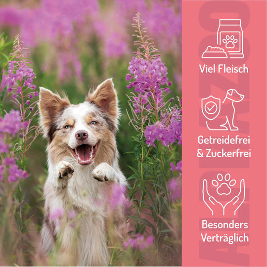 Ente Ohne Süß & Sauer 65 g