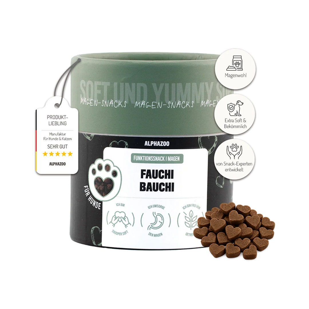 Fauchi Bauchi