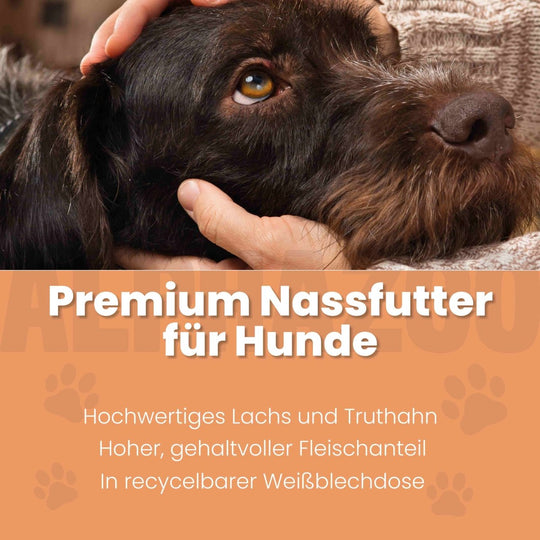 Lachs + Truthahn Nassfutter für Adult Hunde 400g/Dose