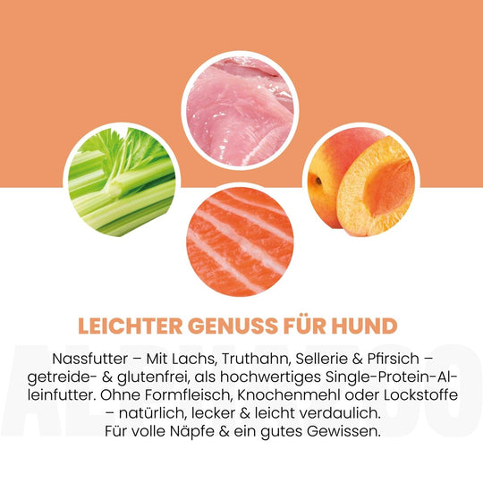 Lachs + Truthahn Nassfutter für Adult Hunde 400g/Dose