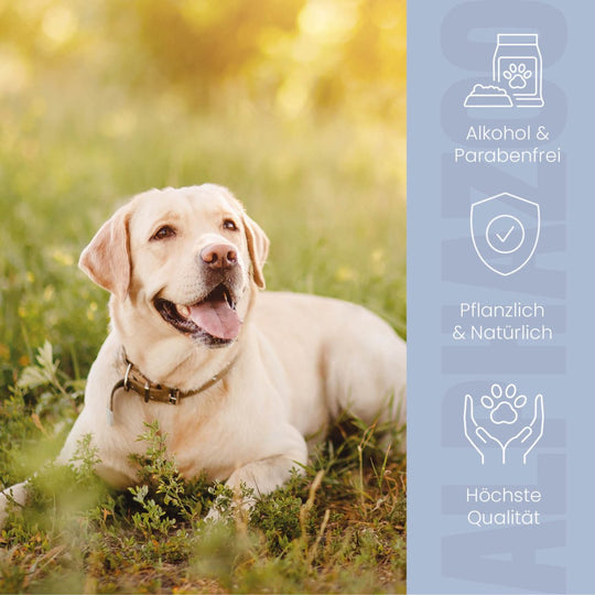 Lauscher-Auf Ohrenreiniger für Hunde