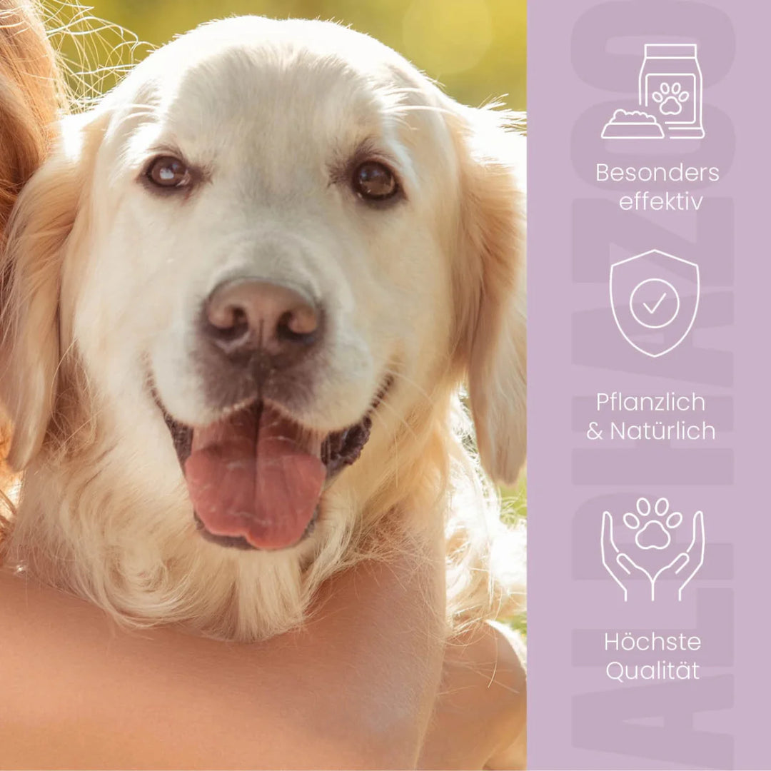 MilbHunter Spot-On für Hunde