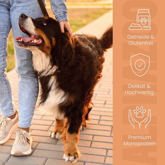 Monoprotein Huhn Nassfutter für Hunde 400g/Dose