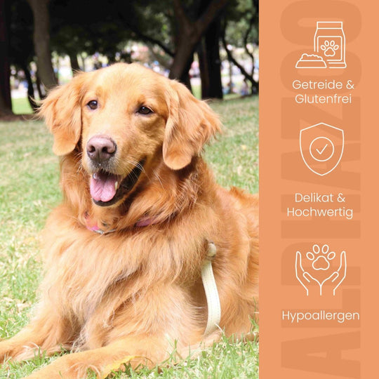 Monoprotein Pferd Nassfutter für Hunde