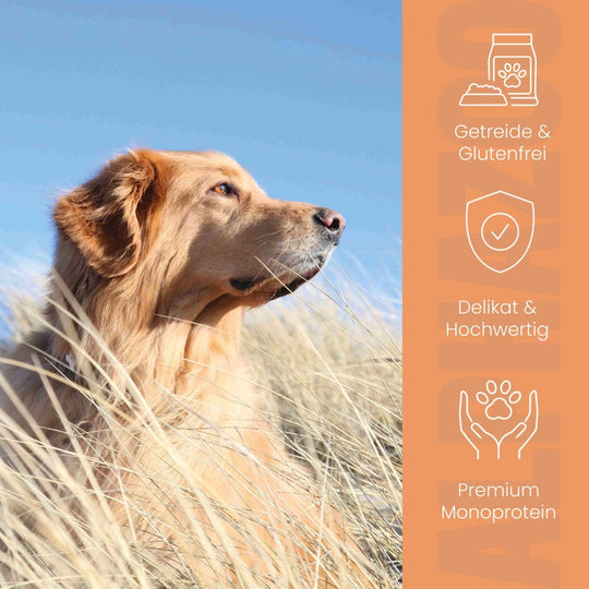 Monoprotein Rind Nassfutter für Hunde 400g/Dose