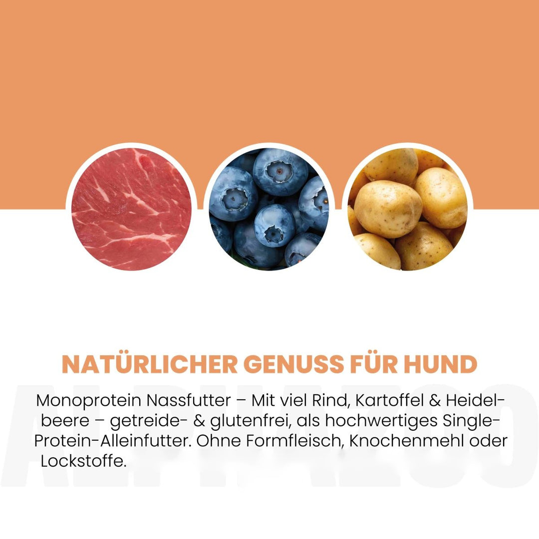 Monoprotein Rind Nassfutter für Hunde
