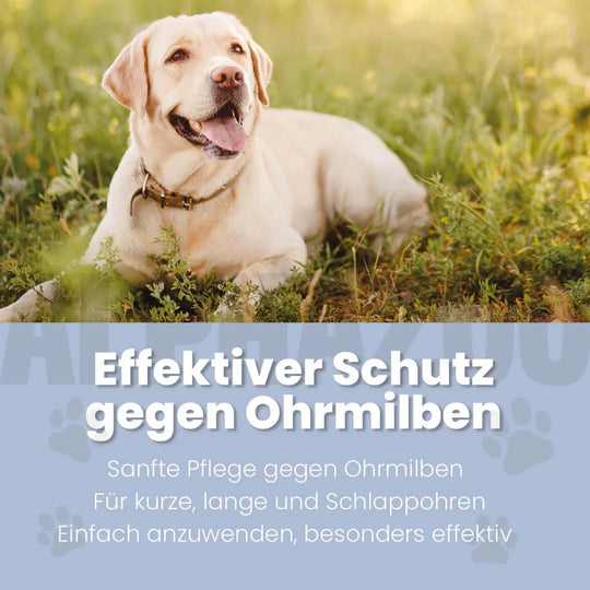 Ohrmilbenöl für Hunde