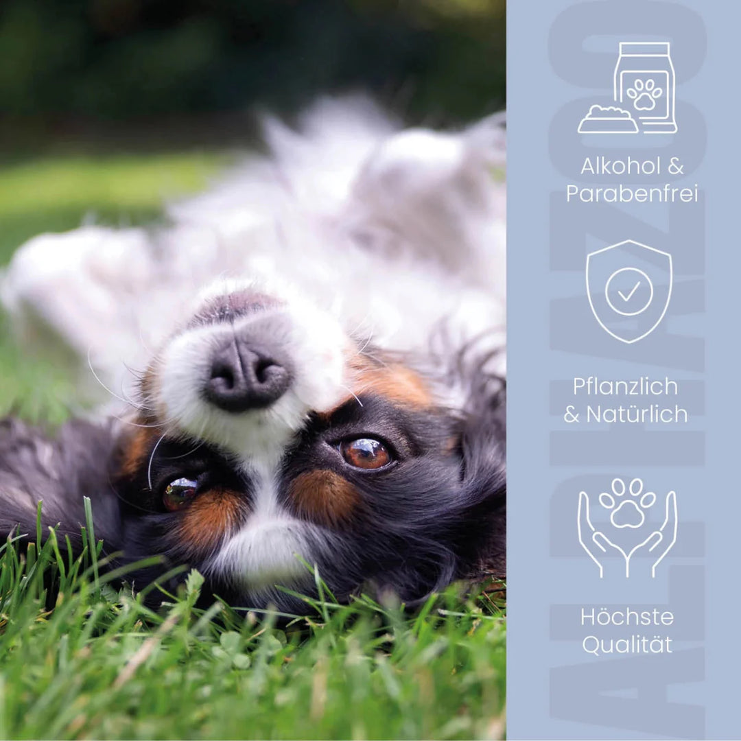 Ohrmilbenöl für Hunde