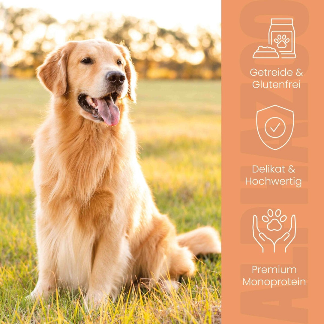 Wild + Rind Nassfutter für Adult Hunde 400g/Dose