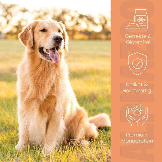 Wild + Rind Nassfutter für Adult Hunde 400g/Dose