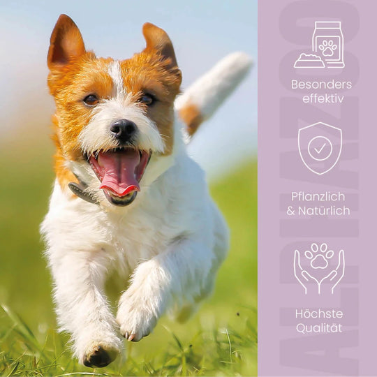 ZeckAttack Spot-On für Hunde