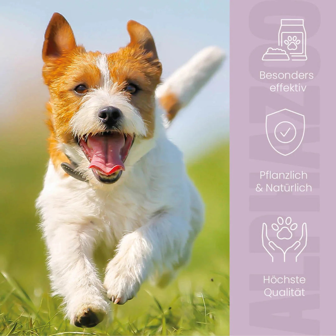 ZeckAttack Zeckenspray für Hunde